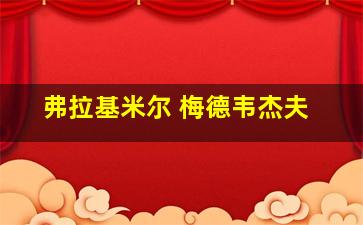 弗拉基米尔 梅德韦杰夫